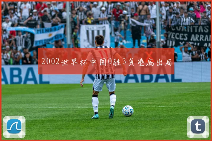 2002世界杯中国0胜3负垫底出局
