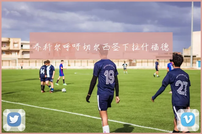 乔科尔呼吁切尔西签下拉什福德
