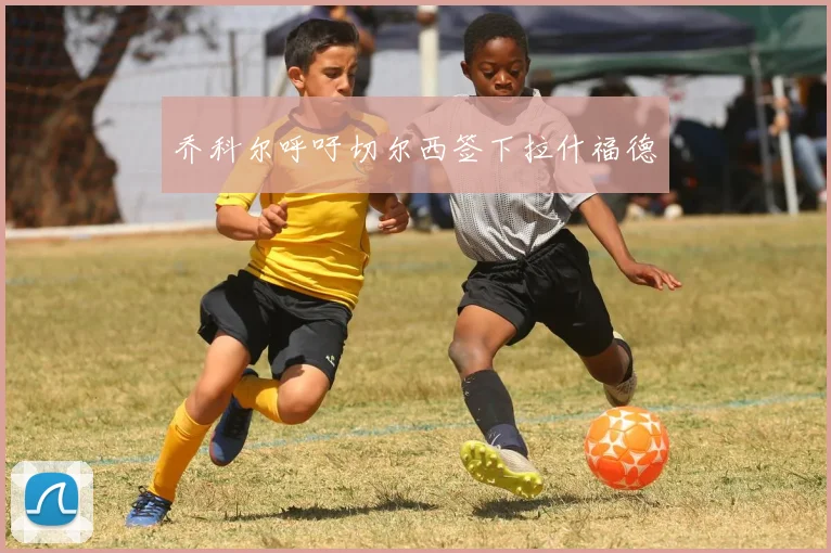 乔科尔呼吁切尔西签下拉什福德