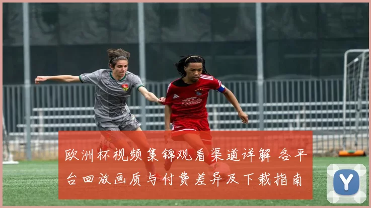 欧洲杯视频集锦观看渠道详解 各平台回放画质与付费差异及下载指南