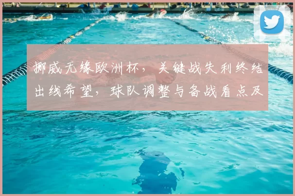 挪威无缘欧洲杯,关键战失利终结出线希望,球队调整与备战看点及伤停战术反思