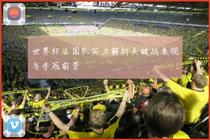 世界杯法国队实力解析关键战表现与夺冠前景
