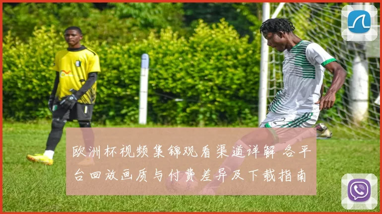 欧洲杯视频集锦观看渠道详解 各平台回放画质与付费差异及下载指南