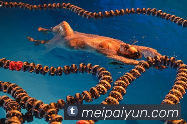 j9官网平台生态图